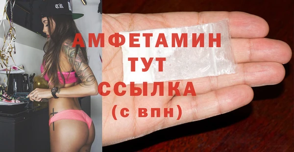 метадон Алексин
