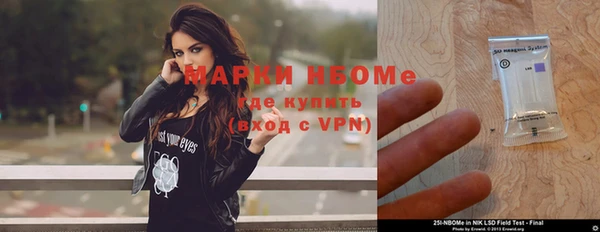 хмурый Алзамай
