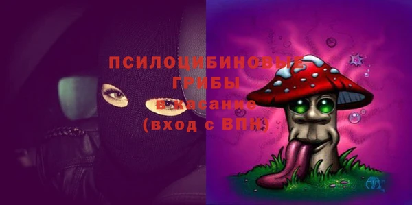 хмурый Алзамай