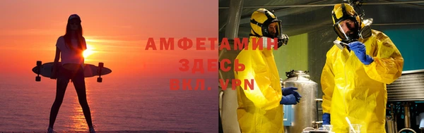шишки Алексеевка