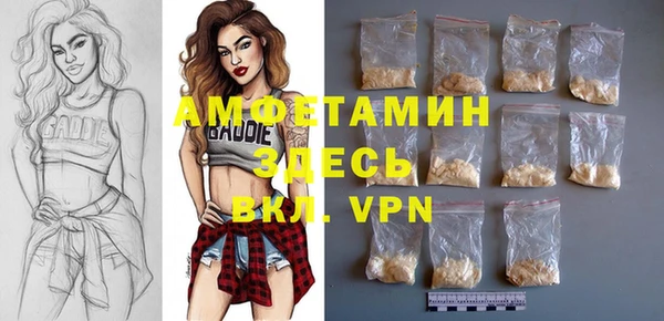 хмурый Алзамай