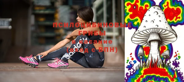шишки Алексеевка